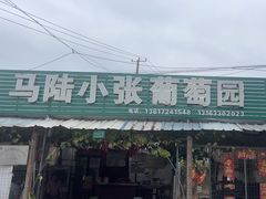 -马陆小张葡萄园农家乐