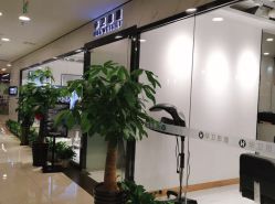 -华卫思理轻奢造型