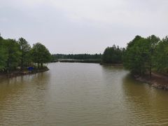 -上海海湾国家森林公园