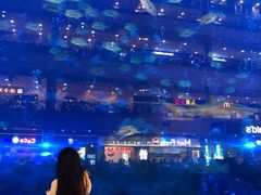 -成都浩海立方海洋公园