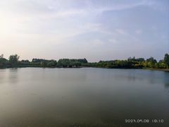 -东郊湿地公园