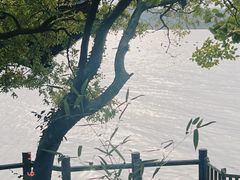 -天目湖山水园