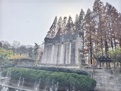 -音乐台