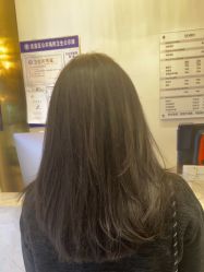 -YESIDO椰岛造型
