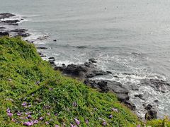 -漳州滨海火山岛自然生态风景区