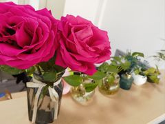 -循礼门鲜花花市(武汉循礼门店)