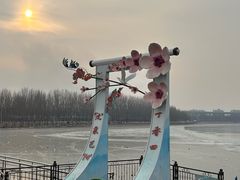 -丁香湖公园