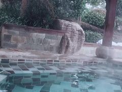 -天目湖涵田半山温泉