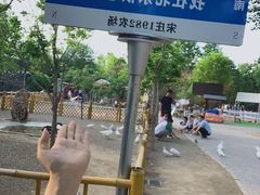 -1982农场