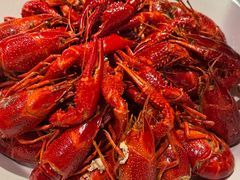 -虾皇(龙虾城旗舰店)