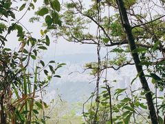 -梧桐山风景名胜区