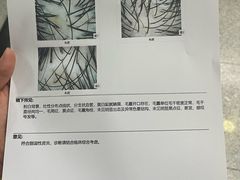 -南方医科大学南方医院(院本部)