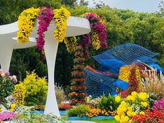 -上海共青森林公园