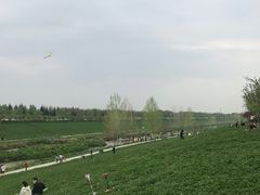 -洨河生态公园