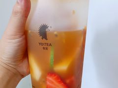 招牌水果红茶-YO!TEA有茶(科兴科学园店)