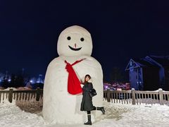 -长白山万达喜来登度假酒店