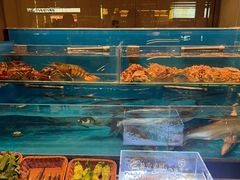 -许家菜(DT51店)