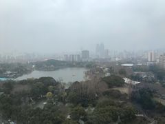 -上海新发展亚太JW万豪酒店