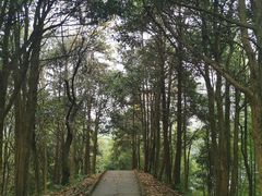 -南山民肴·乡土徽菜(豪辰俪景店)