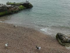 -海驴岛(荣成市)