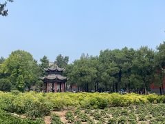 -洛阳白马寺