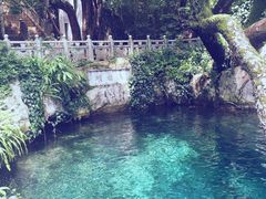 -蝴蝶泉公园