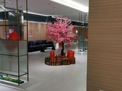 -红鼎豆捞·非遗鲍皇汤火锅(宝丰路店)