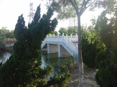 -大港湿地公园