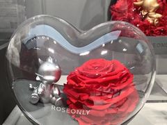 -ROSEONLY诺誓(广州K11店)