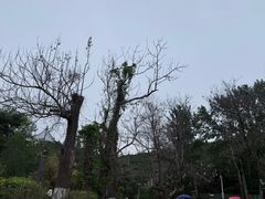 -燕塞湖鸟语林景区