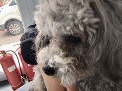 -纳吉亚猫专科动物诊疗中心(蒋宅口分院)