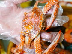 -巽寮印象美食部落餐厅·海鲜·地方特色菜(惠州体验店)