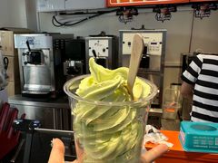 -萨朗刀克冰淇淋雪花凉(植物园店)