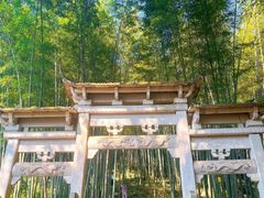 -午潮山国家森林公园