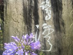 -白鹭湾湿地公园