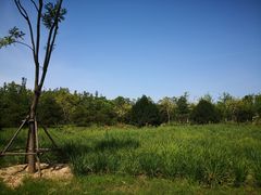 -东郊湿地公园