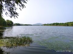 -长广溪湿地公园