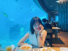 -涛·海底餐厅·美人鱼·自助餐·海底隧道(三亚海棠湾洲际度假酒店)