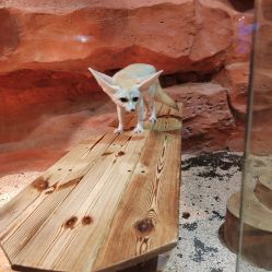 -Zoolung Zoolung动物主题公园(海信广场店)