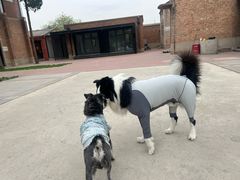 -小意思咖啡店(草桥店)