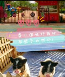 -萌宠亲子动物乐园(槐房万达店)