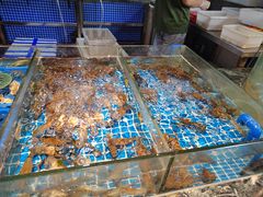 -争先鲜·蒸汽海鲜自助·鲜切牛肉