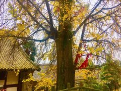 -金堂县云顶石城风景区