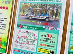 -东平国家森林公园