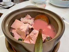 三明红菇炖豆腐-CHIC1699远洋私厨
