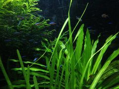 -上海海洋水族馆