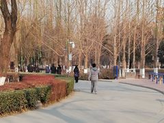 -康庄公园