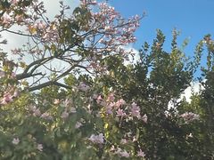 -老火车站牛肉粉