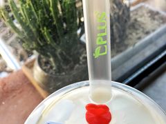 -TPLUS茶家(淮海店)
