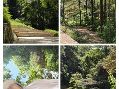 -黄埔油麻山森林公园